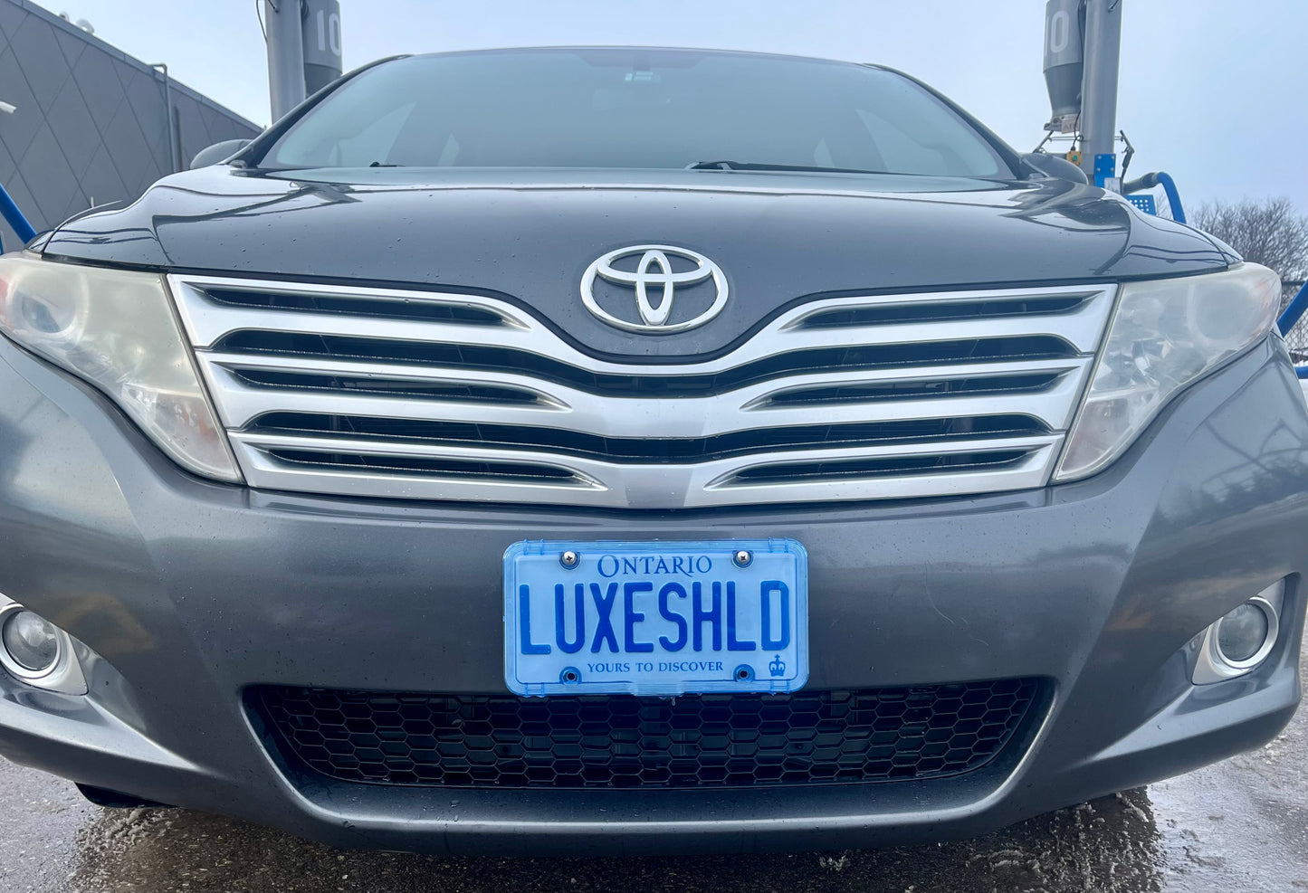 Luxe Shield, Premium Blue License Plate Covers (2-Pack) includes Stainless Screws