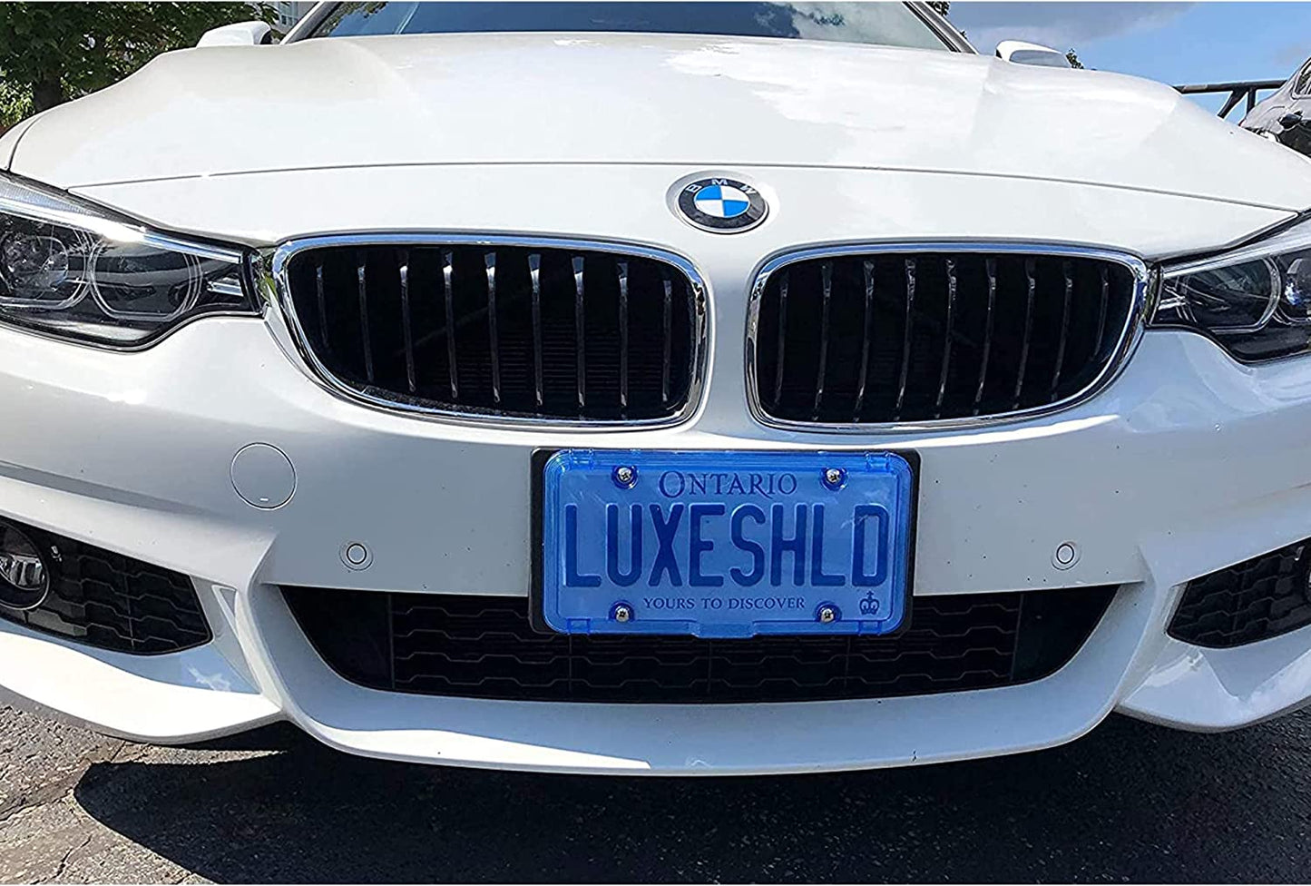 1" Long Premium Stainless Steel License Plate Screws