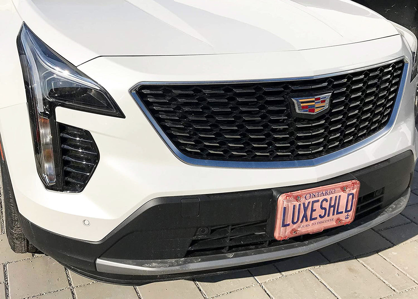 Premium Pink License Plate Cover includes 4 Stainless Steel Screws