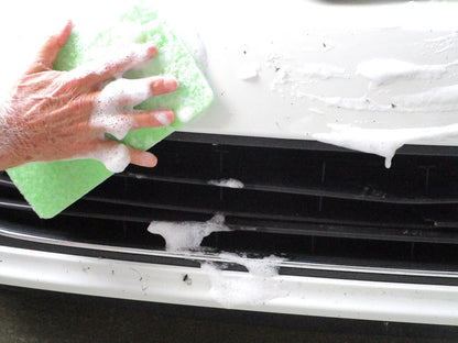 Bugs Off Pads | Bugs and Tar Remover for Cars