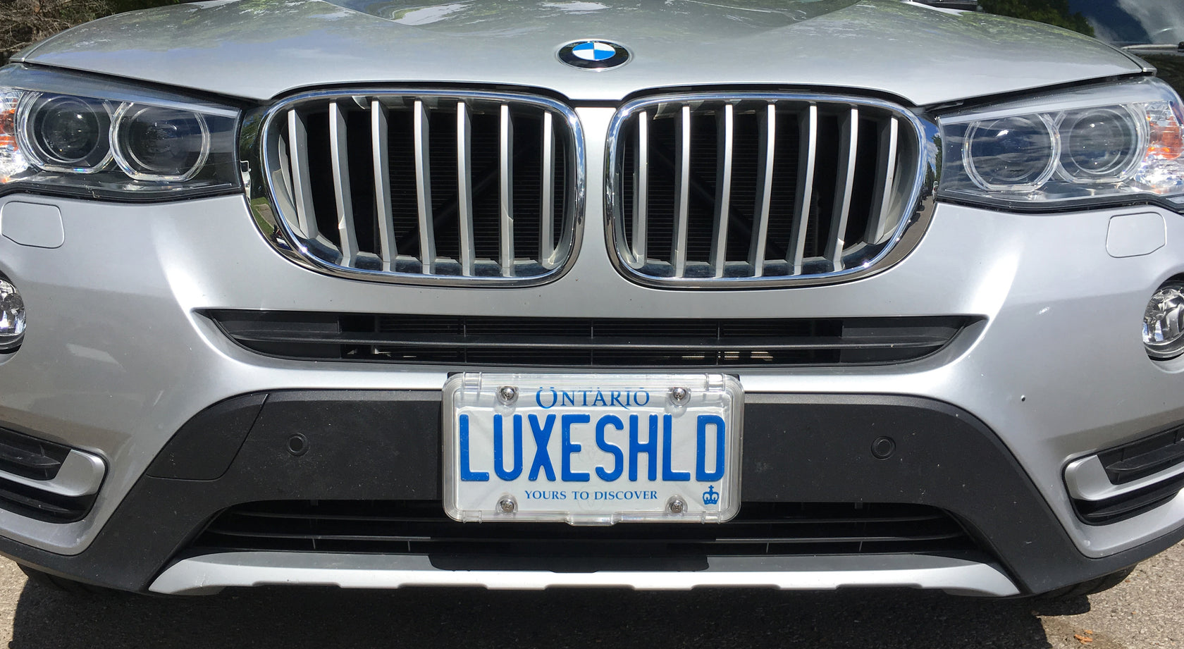 Luxe Shield, Premium Clear License Plate Cover includes Stainless Scre
